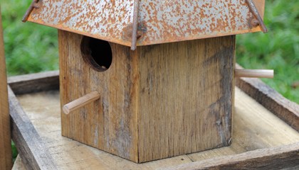Birdhouses - Bird's the Word
